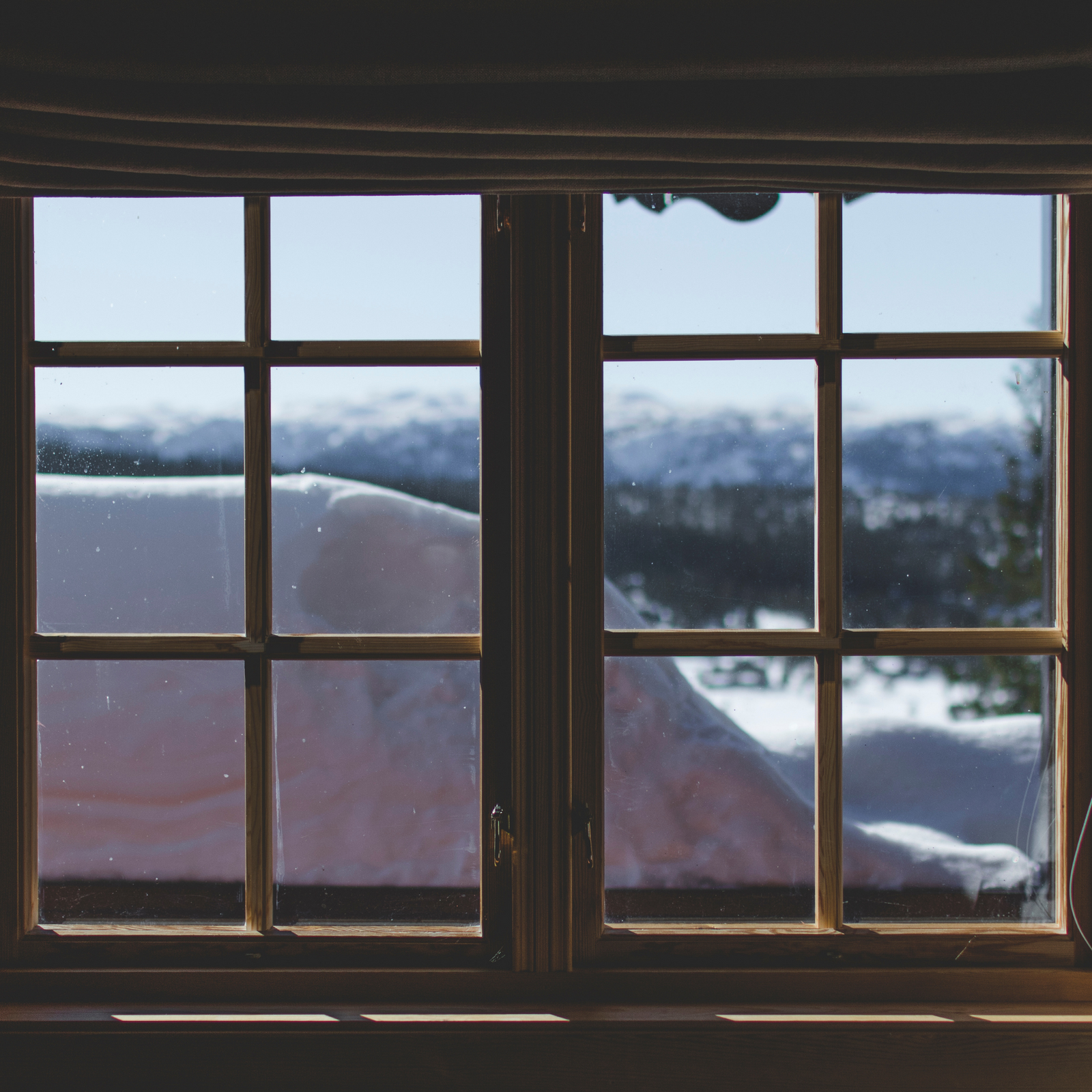 Repair or Replace Window Frames