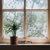 4 Window Glazing Options to Your Home